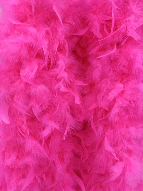 Background Pink Fluffy Feathers  - jessica45 / Pixabay