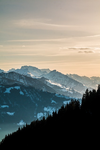 Beatenberg Mountain Bernese Oberland  - TeeFarm / Pixabay