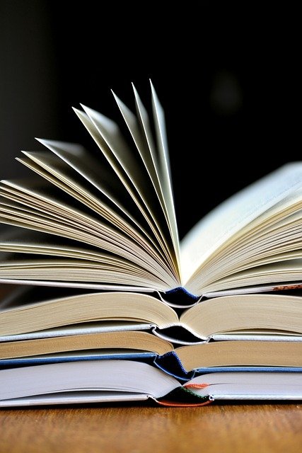Book Read Book Pages Literature  - congerdesign / Pixabay
