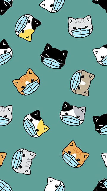 Cats Kittens Face Mask Coronavirus  - AngieToh / Pixabay