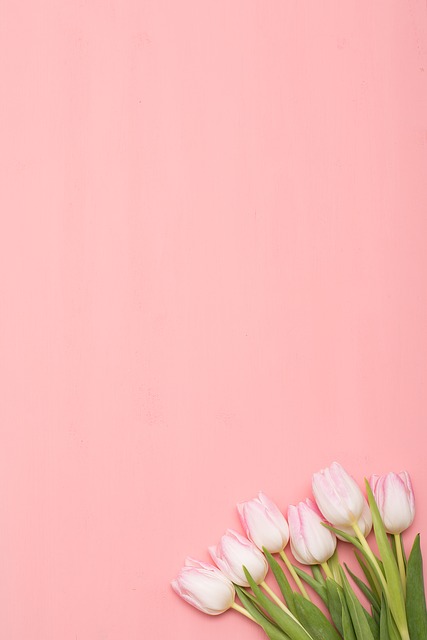 Flower Nature Tulip Leaf Plants  - milesz / Pixabay